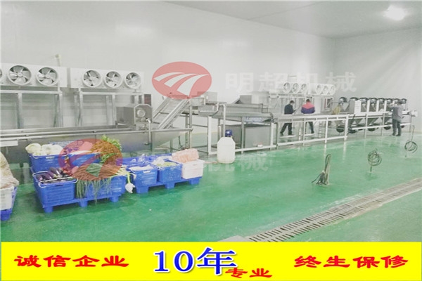 贵州政府项目净菜加工生产线安装完毕