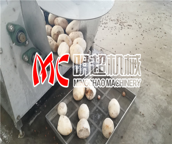 喷淋式芋头去皮机使用之前需要做哪些工作-多层烘干线|小型果蔬烘干房|萝卜条烘干房|蔬菜网带烘干机|全自动红枣烘干机|红薯干烘干房(生产厂家,多少钱,烘干效果,哪个牌子好,价格)--诸城市明超机械科技有限公司-果蔬专用清洗机,净菜加工设备,蔬菜清洗设备,风干流水线,蔬菜漂烫生产线-技术新闻
