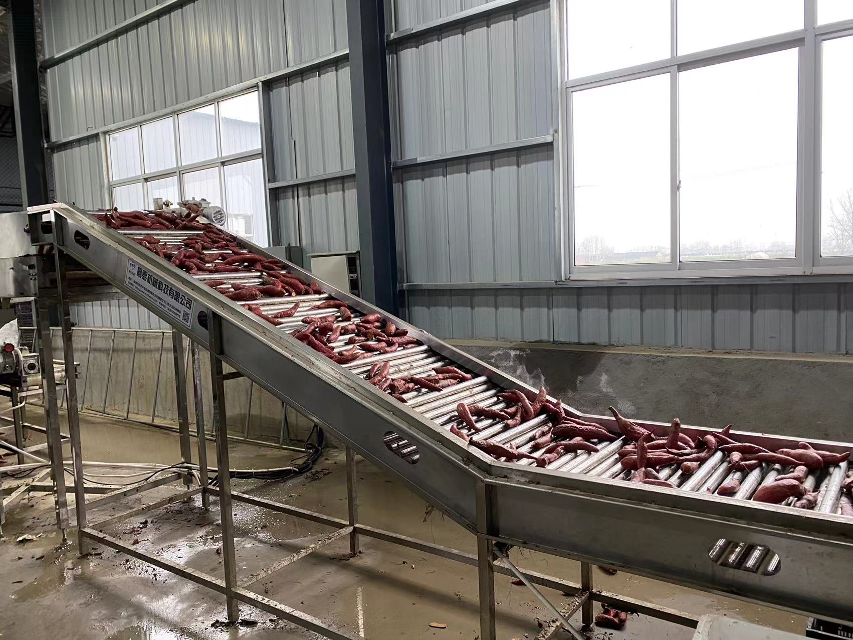 红薯清洗愈合糖化设备提升段