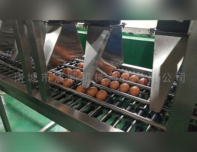 单排鸡蛋清洗机鸭蛋洗蛋机生产厂家